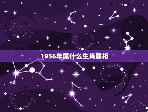 1956年生肖|1956年属什么